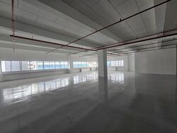 Perfect One (D13), Warehouse #567503861